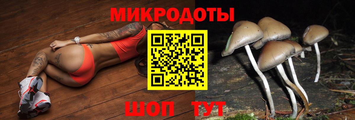 Галлюциногенные грибы MAGIC MUSHROOMS  Вход с VPN  купить  сайты  Азов  Галлюциногенные грибы Magic Shrooms 